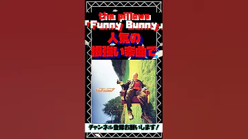 The Pillows Funny Bunny Shorts Pillows 