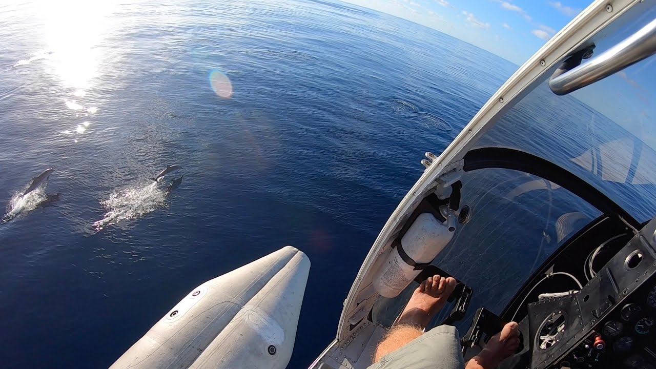 Dolphin Flight version v4.1 - YouTube