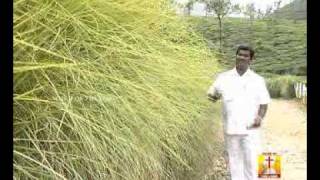 Video thumbnail of "Eppadippaa.flv"