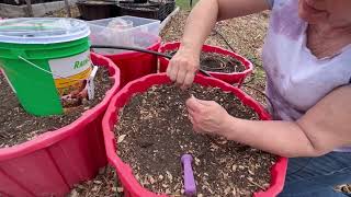 RAIN BIRD Drip Irrigation Emitter Tubing Review - Setting Up Emitter Hoses in Container Gardening.