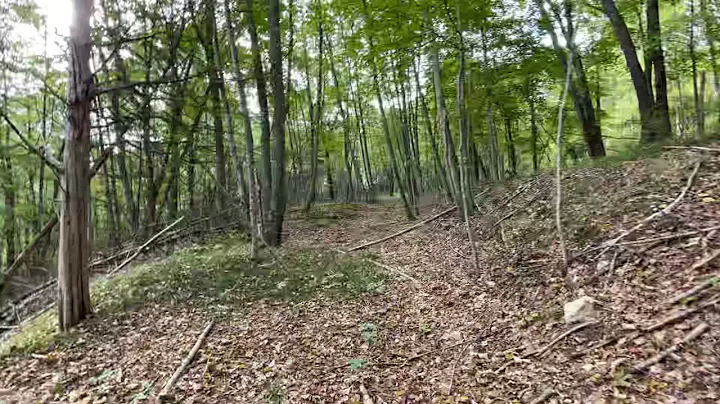 Hill walk time lapse video