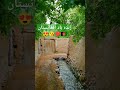 ای وطن تو را نازم نام قهرمان داری