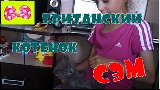 🎀 Подарок 🎀 Подарок