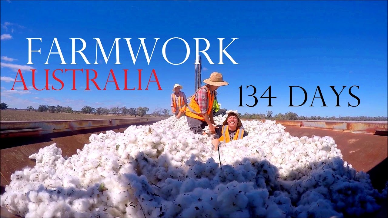 work and travel farm australia