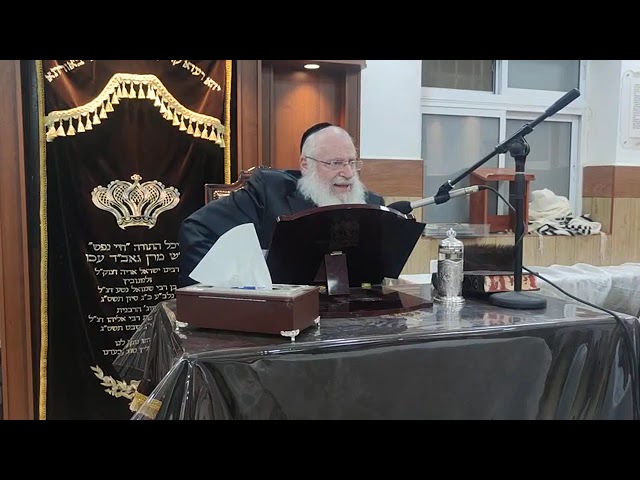 שיעור באידיש בענין דרכי התלמוד | שיעור מאת מרן הרב אשר וייס שליט"א | תשפ"ד