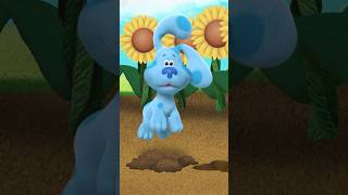 Blue and Josh plant a flower 🌻| Blue's Clues & You! #Shorts