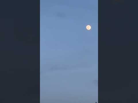 summa summa!! #shortvids #trending #trendingshorts #viral #viralvideo