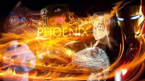 Phoenix | Full Multifandom MEP