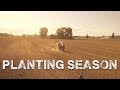 Planting Season - Pak Choi, Kale, and Dill