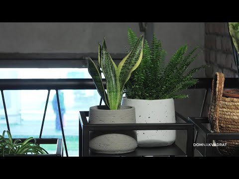 Video: Uzgajanje biljaka u vrču u zatvorenom - Kako se brinuti za biljku u vrču u zatvorenom