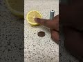 Craziest Lemon Battery Experiment Ever Shorts