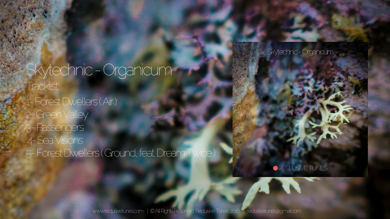 Skytechnic - Sea Visions