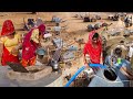 [557] Sip-Sip Water 🐪 Thar Rajasthan Village Life || All Camel Waiting for water | Shubh Journey New
