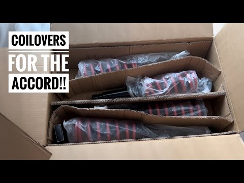 Raceland Coilovers for the Daily!!!!