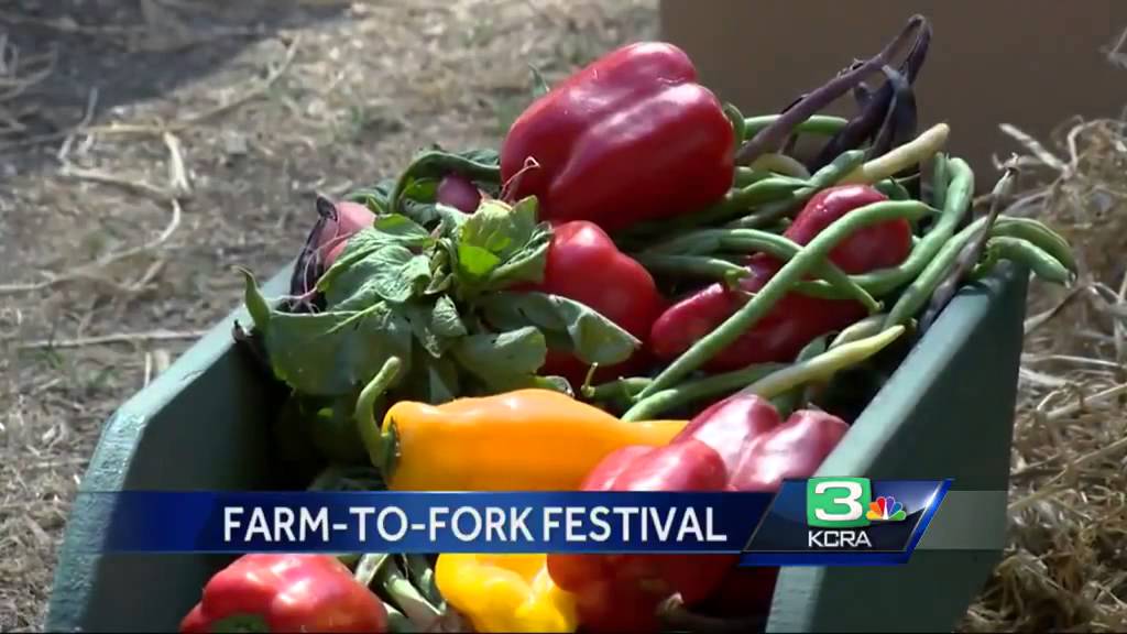 Farm to Fork Festival brings eating back to home grown