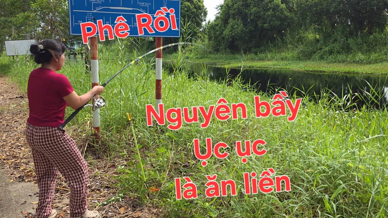 Nó ăn câu là tay chân run hết. Dính hàng độc lạ tại rừng U Minh | Săn bắt SÓC TRĂNG |