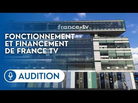 Membres Du Comité De Direction Et Direction De La Prod De France TV Devant La Commission D Enquête 