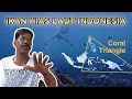 Cara Mendapatkan Ikan Hias Laut di Indonesia 🌊