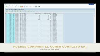 SAP Logística - Tema 17 Visualizar lista de reservas