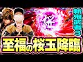 【新鬼武者3】お願いします、私に桜玉をください。[スマスロ][スロット][パチスロ]