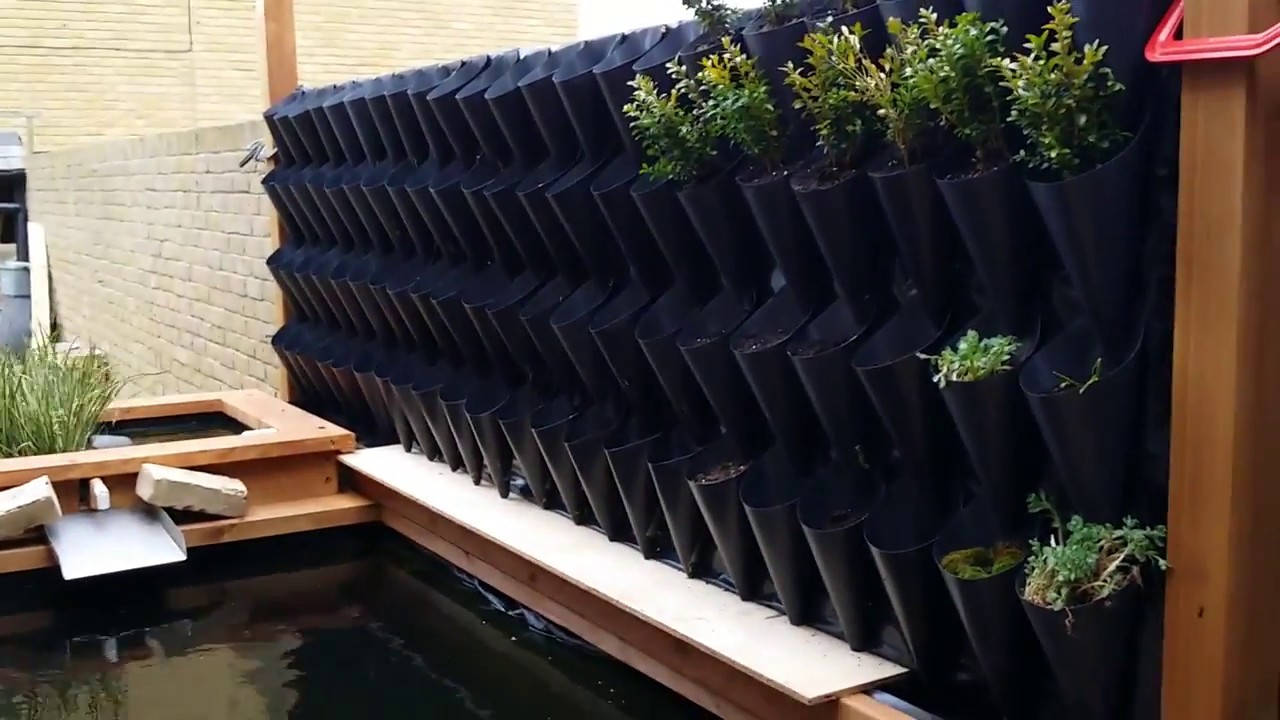 DIY VERTICAL GARDEN , WALL PLANTER, LIVING WALL YouTube