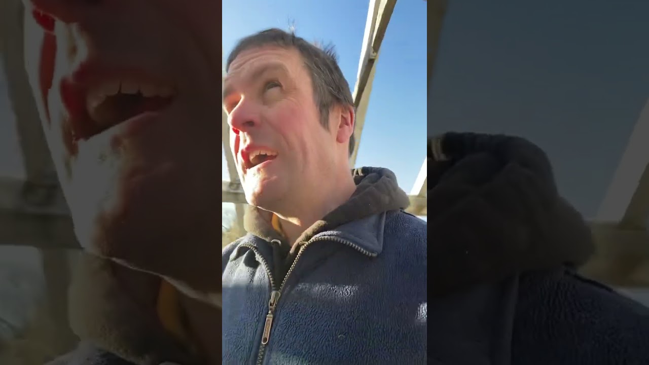 The old greenhouse makes way for our new shade house.                