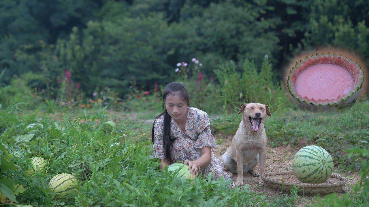 Как вырастить арбуз? Такой большой и сладкий!