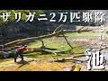 約2年でザリガニ２万匹駆除すると池はこうなる