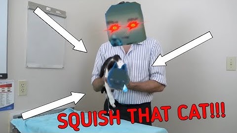 A healthy Simple Sandbox 2 video for your cat