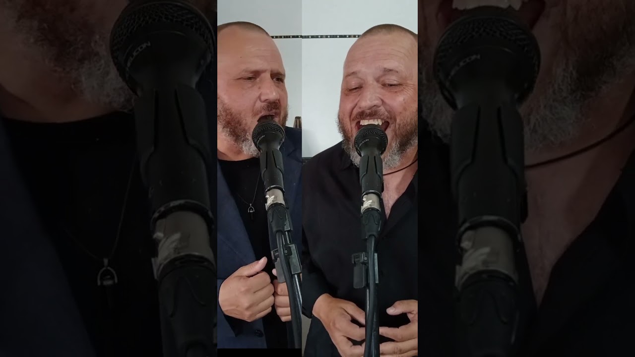 Os irmãos gemeos atacam novamente 