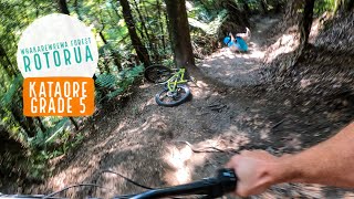 Kataore Trail, Rotorua - About as STEEP & ROOTY as it gets!
