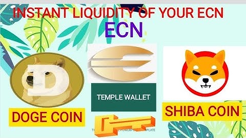 ECN INSTANT LIQUIDITY TO DOGE COIN ZOOM MEETING UPDATES E ORACLE