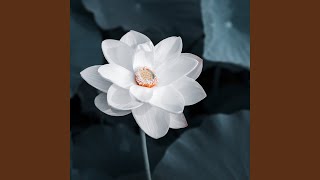 The Charm of Zen screenshot 3