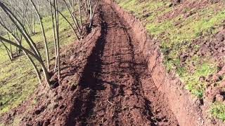 Fındık Bahçesinde Teras Nasıl Yapılır.14.Mart.2021