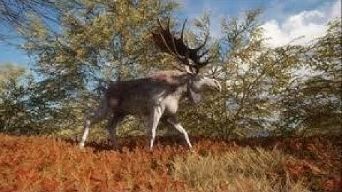 Multiplayer Server Hopping for Diamonds and Rares!