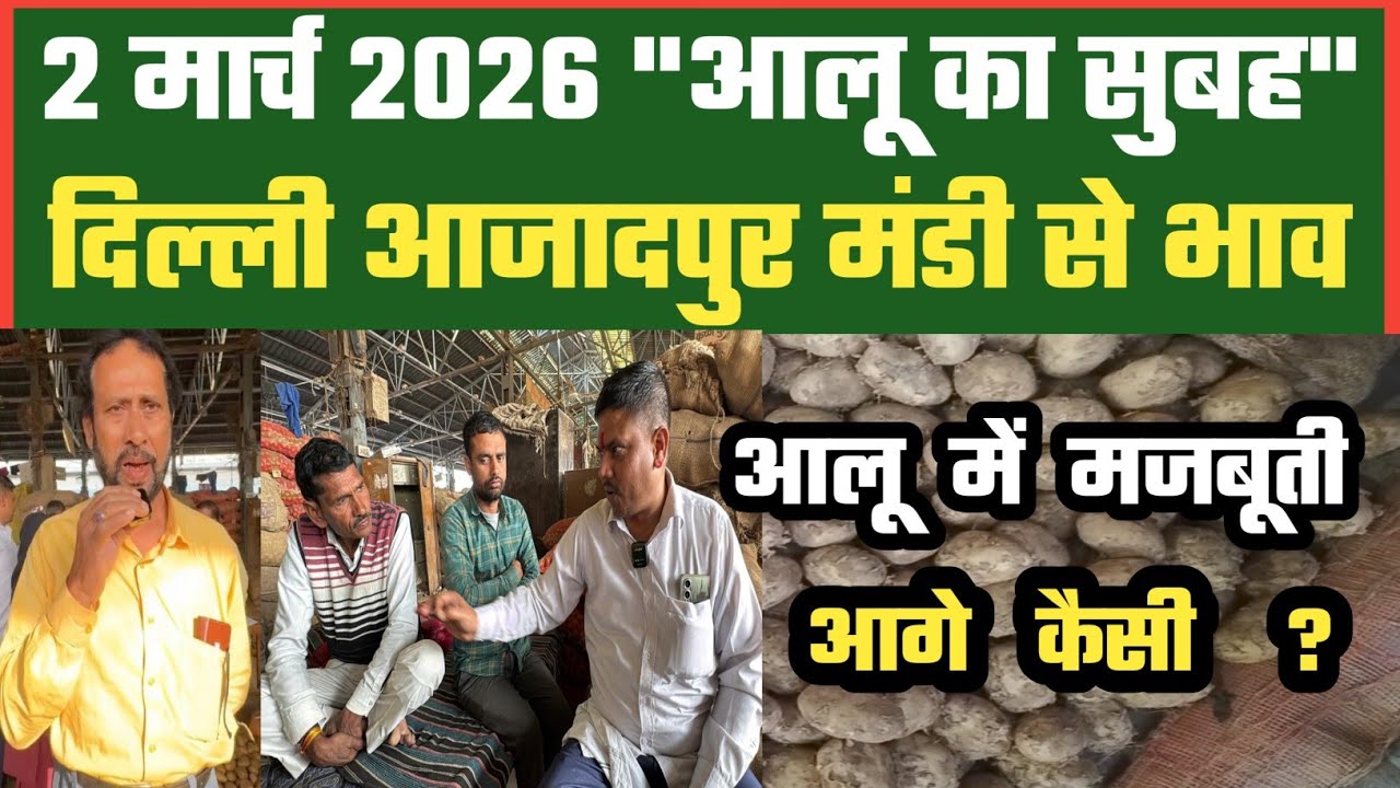 आलू में मजबूती कैसे बनेगी ? 🤔 Azadpur Delhi Mandi Today में 02-03-2026 के Potato Price DMT TV