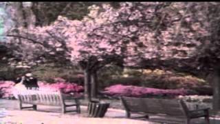 Malayalam Movie Song Mouna Mohangal Mandanmmar Londanil Malayalam Film Song