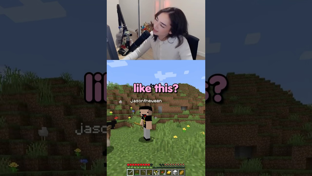 Custom Minecraft Skins 