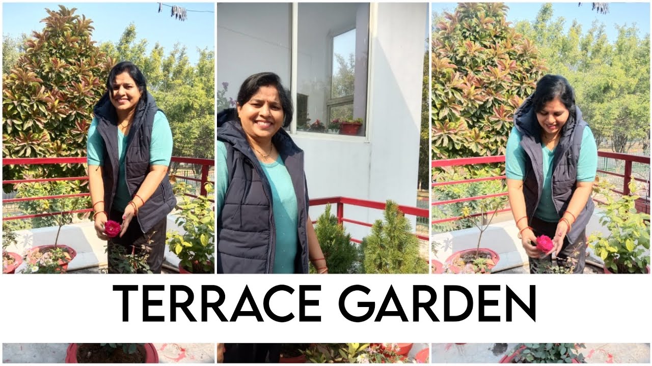 Terrace Garden | Gardening ideas for home | Gardening tips #viral # ...