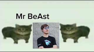 This Is A Mr Beast