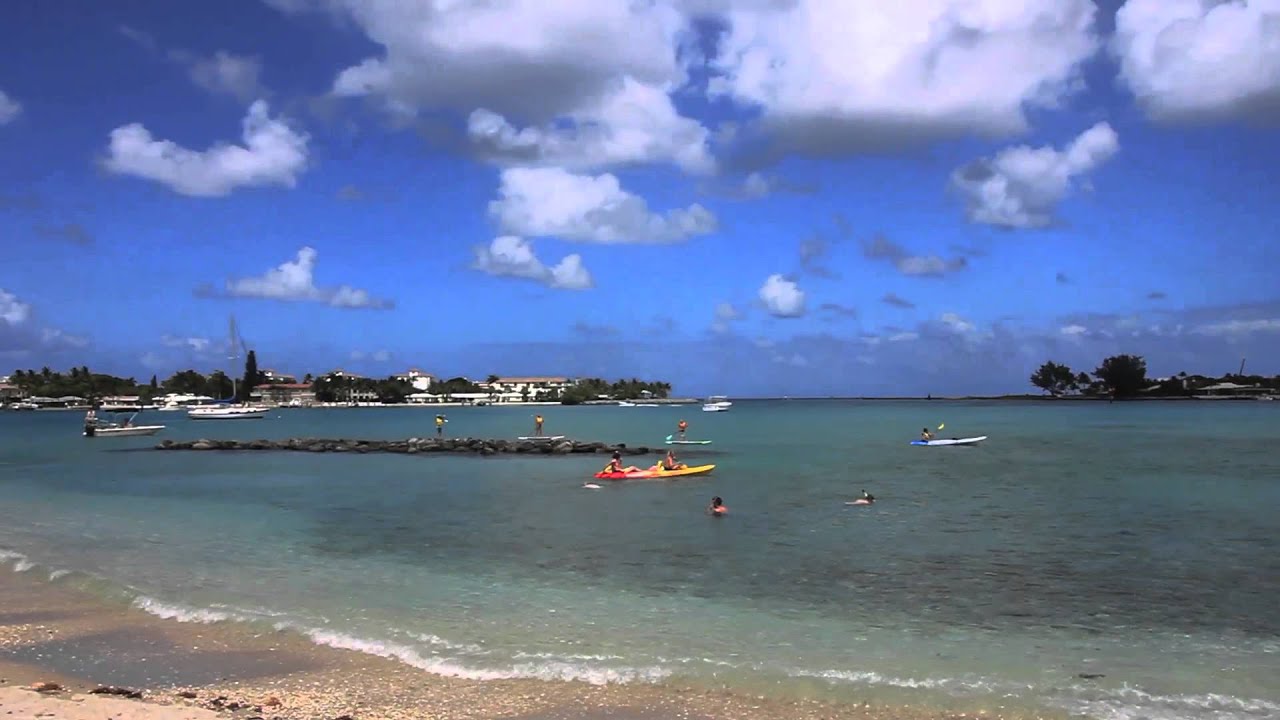 Diving in South Florida: Peanut Island and Phil Foster Park