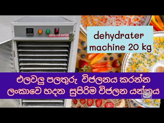 Cheapest Food Dehydrator Machine in Sri Lanka 