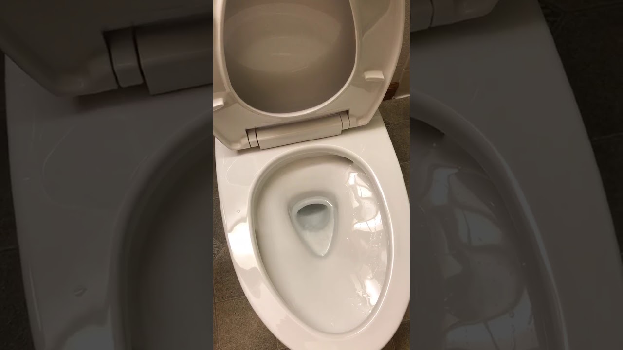 The New TOTO Drake 2Piece Elongated Dual Flush 1.28 GPF and 0.8 GPF