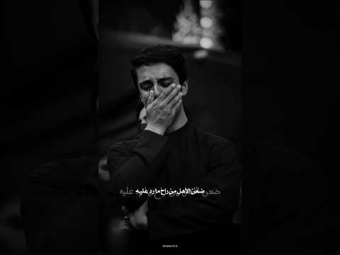 ضعن الاهل من راح مارد عليه