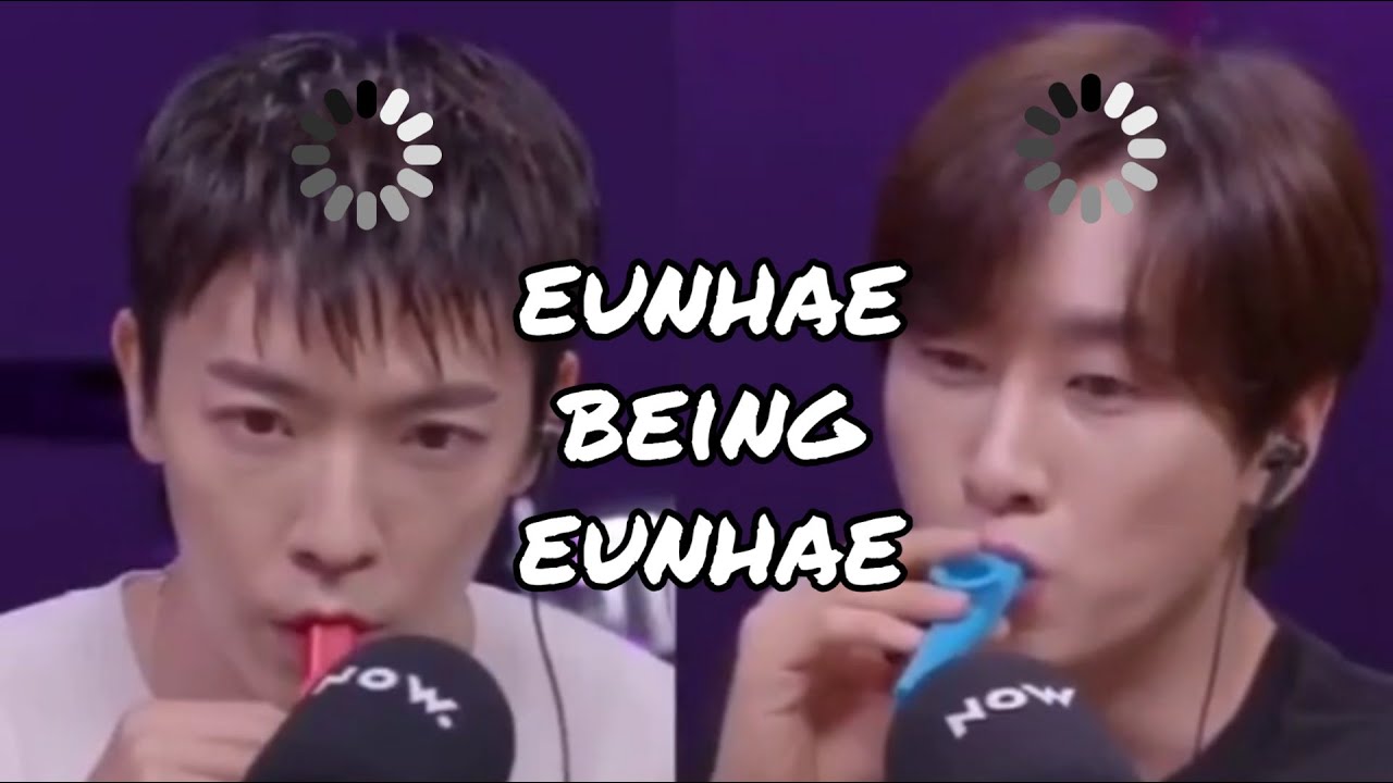 eunhae sharing one brain cell