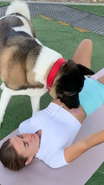 Hilarious Dog vs Fitness Girl Workout Fails! #dogs #dogfunny #funnydogs #fitness #homeworkout girl