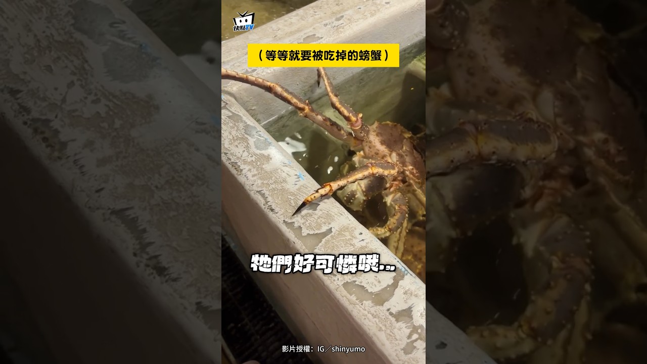 【眼淚從嘴角流出】妹不捨螃蟹被吃哭喊:好可憐哦...下秒媽問想吃嗎秒回答🤣 #shorts