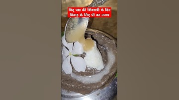 पितृ पक्ष की शिवरात्री के दिन विवाह के लिए घी का उपाय#pitrapaksh #shivratri #ghee #upay #BHAKTI CLIP