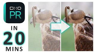 DxO PureRaw 6 Tutorial - Everything in 20 minutes (and a bit) screenshot 5