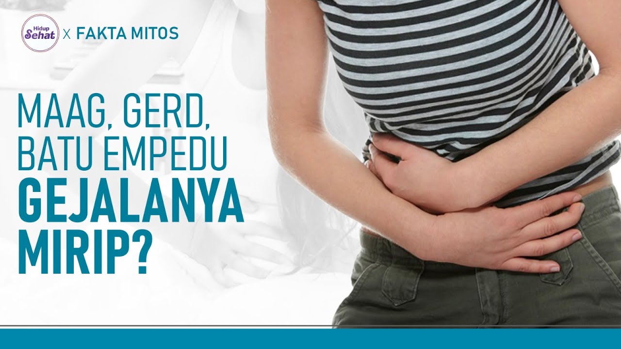 Bedanya Sakit Perut Gejala Maag Gerd Dan Batu Empedu Hidup Sehat bedanya-sakit-perut-gejala-maag-gerd-dan-batu-empedu-hidup-sehat